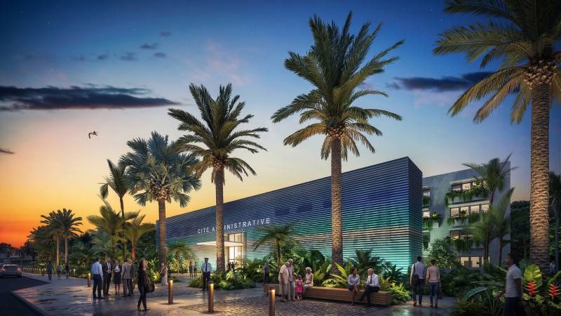 Images 3D, plans et coupes du concours restreint pour la construction de la Cité Administrative du Jardin d’Essai en Guadeloupe